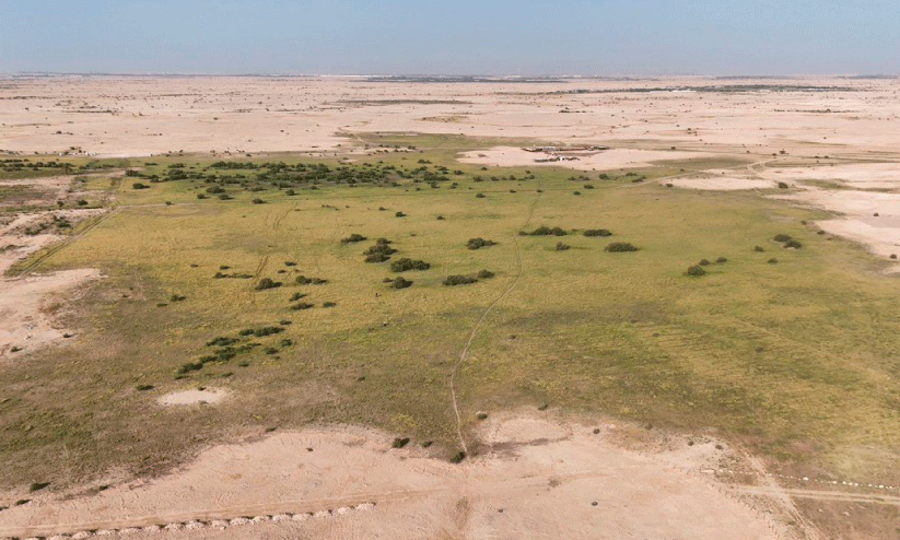 പു​ൽ​മേടുകൾ