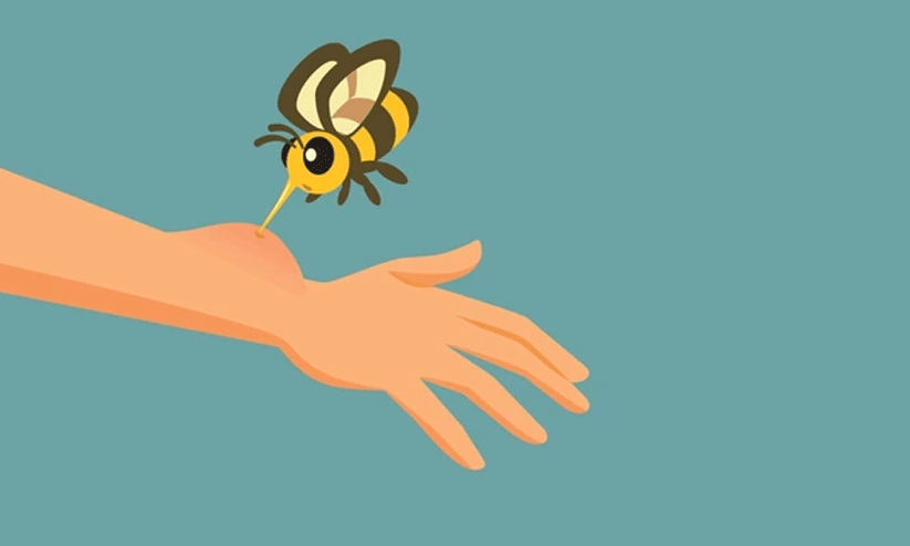 തേ​നീ​ച്ച ആ​ക്ര​മ​ണ​ത്തി​ൽ വ​നം​വ​കു​പ്പ് ജീ​വ​ന​ക്കാ​ർ​ക്ക് പ​രി​ക്ക്