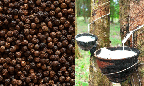 കുരുമുളകിന് പുതുജീവൻ; റബറിന് തളർച്ച