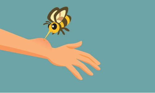 തേ​നീ​ച്ച ആ​ക്ര​മ​ണ​ത്തി​ൽ വ​നം​വ​കു​പ്പ് ജീ​വ​ന​ക്കാ​ർ​ക്ക് പ​രി​ക്ക്