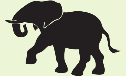 കാട്ടാനശല്യം രൂക്ഷം; തെരുവുവിളക്ക് സ്ഥാപിക്കണമെന്ന ആവശ്യത്തിന് അവഗണന കാട്ടാനശല്യം രൂക്ഷം; തെരുവുവിളക്ക് സ്ഥാപിക്കണമെന്ന ആവശ്യത്തിന് അവഗണന