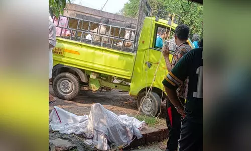 നിയന്ത്രണം വിട്ട ഗുഡ്സ് ഓട്ടോ പാഞ്ഞുകയറി; രണ്ട് തൊഴിലുറപ്പ് തൊഴിലാളികൾക്ക് ദാരുണാന്ത്യം