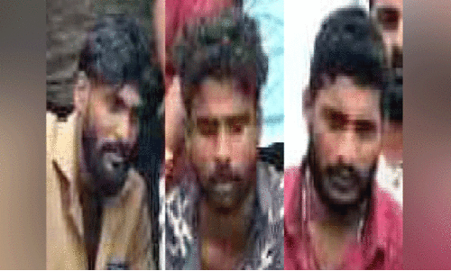 20 കിലോ കഞ്ചാവുമായി യുവാക്കള്‍ പിടിയിൽ