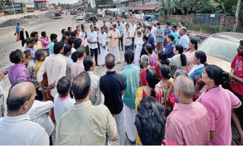 രണ്ടു മിനിറ്റിന് പകരം അരമണിക്കൂർ യാത്ര; നുള്ളിപ്പാടി അടിപ്പാത തുറക്കുമോ?