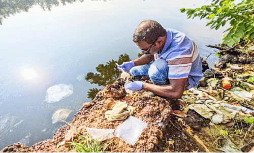 അഷ്ടമുടിക്കായലിൽ മത്സ്യങ്ങൾ ചത്തുപൊങ്ങിയതിൽ പരിശോധന