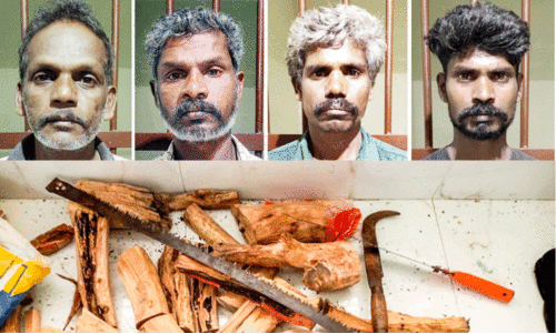 തമിഴ്നാട്ടിലേക്ക് ചന്ദനംകടത്ത്; നാലുപേർ പിടിയിൽ തമിഴ്നാട്ടിലേക്ക് ചന്ദനംകടത്ത്; നാലുപേർ പിടിയിൽ