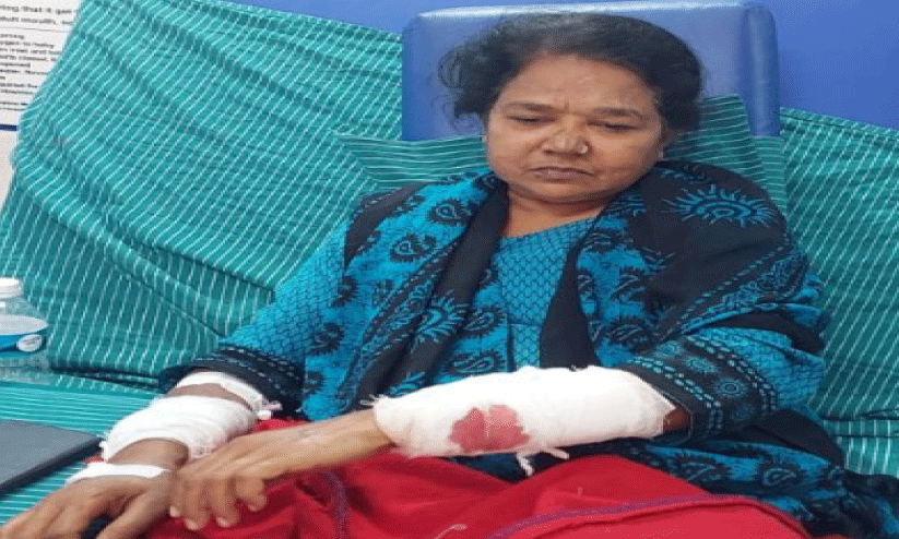 fareeda banu fareeda banu