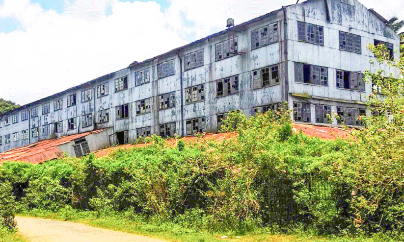 peerumedu tea factory peerumedu tea factory