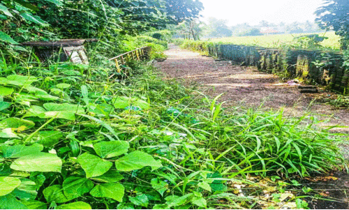 kadambrayar eco tourism kadambrayar eco tourism