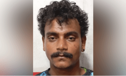 മട്ടുപ്പാവിൽ കഞ്ചാവ് കൃഷി ചെയ്​തയാൾ പിടിയിൽ