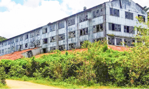 peerumedu tea factory