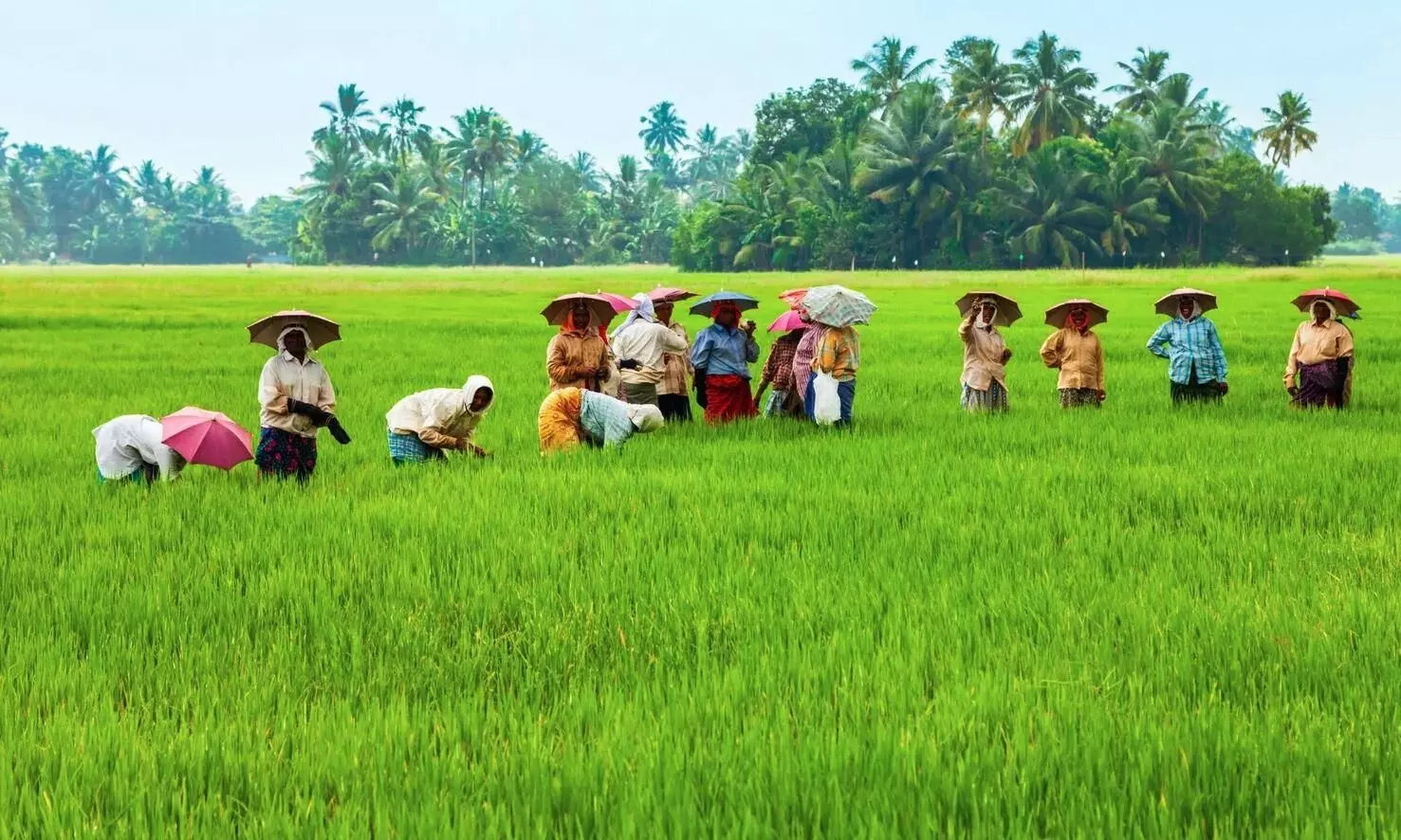 Kerala piravi Kerala piravi