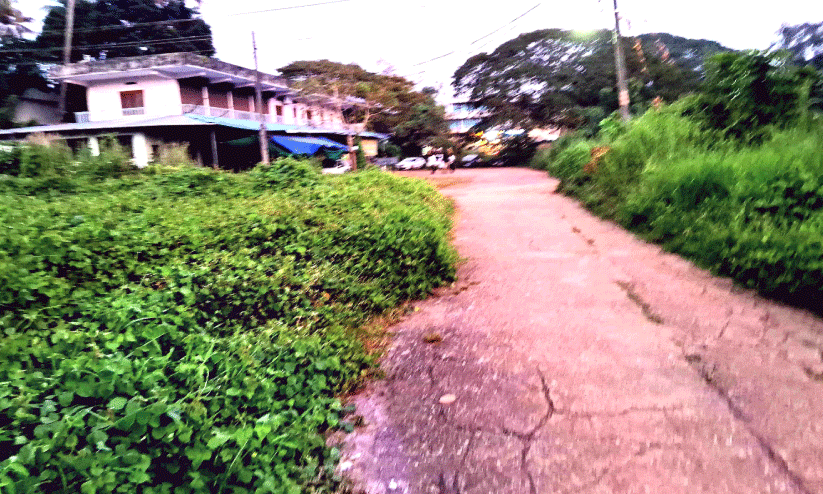 മാളയിൽ മുസിരിസ് പൈതൃക പദ്ധതിക്ക് തുടക്കം