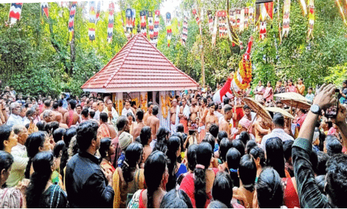 ജനസാഗരമൊഴുകുന്നു; വാവുത്സവം നാളെ