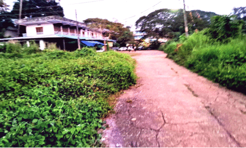 മാളയിൽ മുസിരിസ് പൈതൃക പദ്ധതിക്ക് തുടക്കം