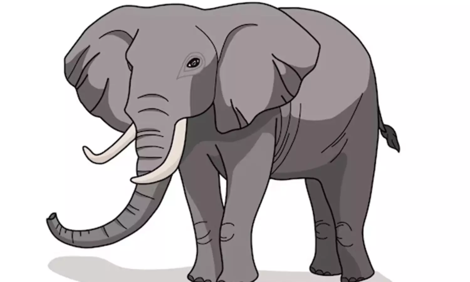 ജനവാസ മേഖലയിൽ ഇറങ്ങിയ ആനകളെ തുരത്തി