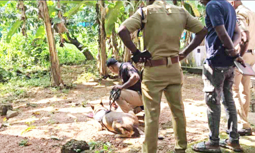 Inspection Inspection