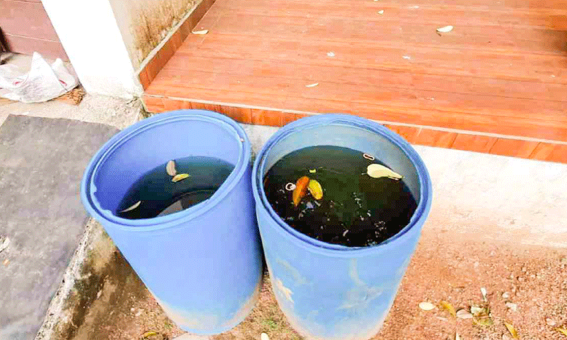 Thrikkakara Municiapality Park