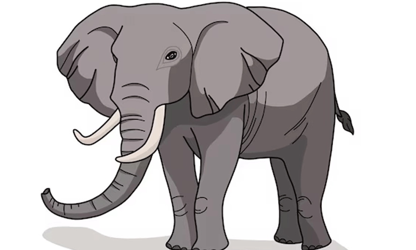 ജനവാസ മേഖലയിൽ ഇറങ്ങിയ ആനകളെ തുരത്തി ജനവാസ മേഖലയിൽ ഇറങ്ങിയ ആനകളെ തുരത്തി