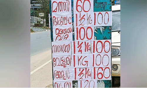 മീ​നി​ന് വി​ല ഇ​ടി​ഞ്ഞി​ട്ടും ‘പൊ​രി​ച്ച​തി​നു പൊ​ള്ളു​ന്ന വി​ല