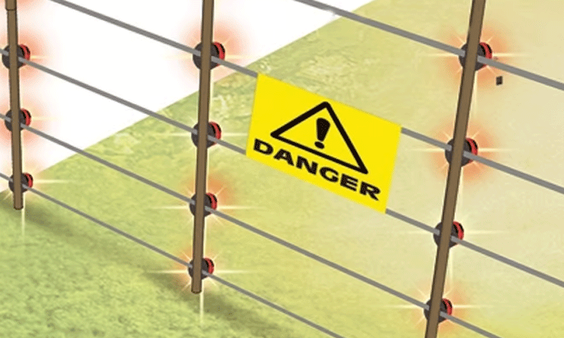 നി​യ​മ​ങ്ങ​ൾ​ക്ക് പു​ല്ലു​വി​ല; വൈ​ദ്യു​തി​വേ​ലി​ക​ളിൽ ജീവന്‍റെ പിടച്ചിൽ