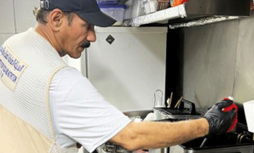 inspection inspection