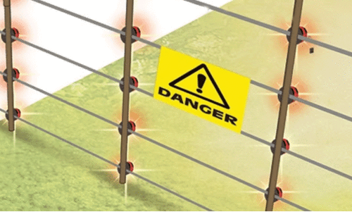 നി​യ​മ​ങ്ങ​ൾ​ക്ക് പു​ല്ലു​വി​ല; വൈ​ദ്യു​തി​വേ​ലി​ക​ളിൽ ജീവന്‍റെ പിടച്ചിൽ