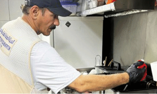 inspection inspection