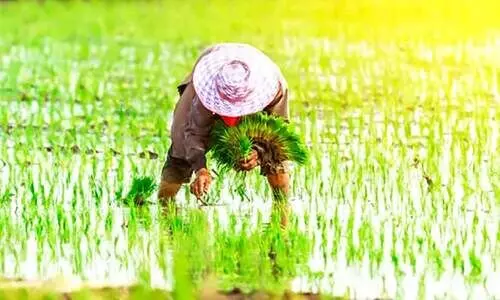 Malayalam poem Malayalam poem