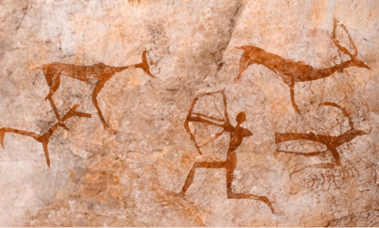 ശ്രീ​ശൈ​ല ഹി​മാ​ര​ണ്യ​കം