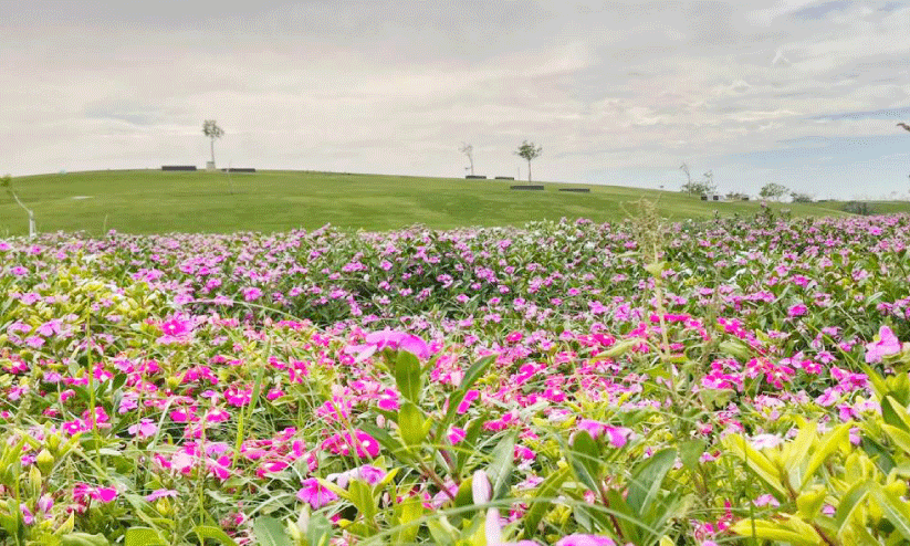 ജുബൈൽ റോയൽ കമീഷൻ മേഖല ജുബൈൽ റോയൽ കമീഷൻ മേഖല