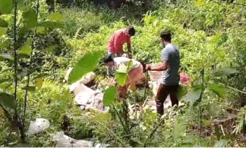 തോട്ടിൽ മാലിന്യം തള്ളിയ സ്‌കൂൾ അധികൃതരെ വരുത്തി തിരിച്ചെടുപ്പിച്ചു