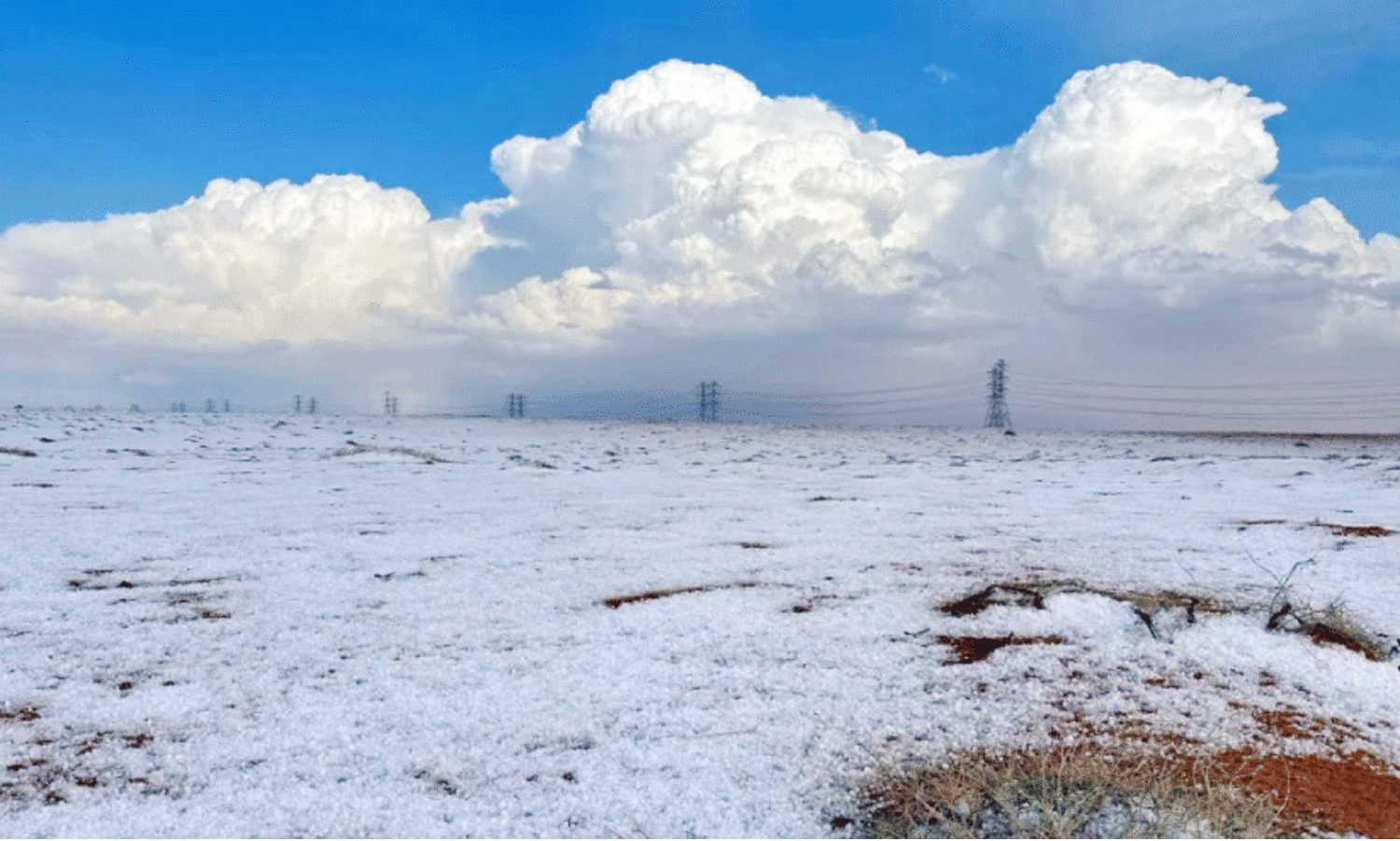 അ​ൽ ജൗ​ഫ് മേ​ഖ​ല​