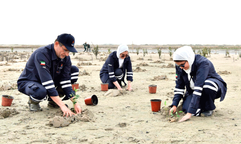 ക​ണ്ട​ൽത്തൈ​ക​ൾ ന​ടു​ന്നു
