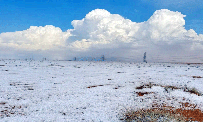 അ​ൽ ജൗ​ഫ് മേ​ഖ​ല​