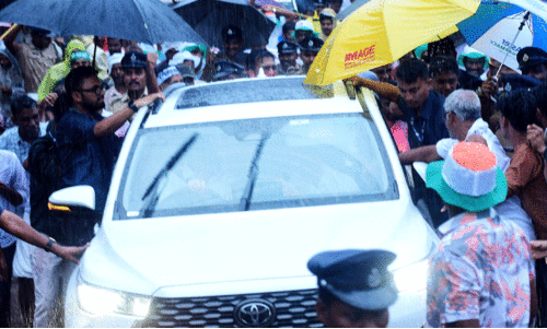 Wayanad by-election,