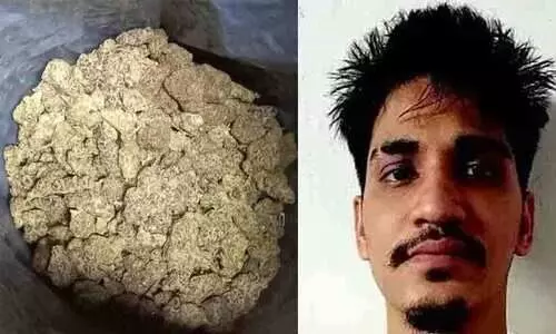 തായ്‌ലൻഡിൽ നിന്നെത്തിച്ച 30 ലക്ഷം രൂപയുടെ ഹൈഡ്രോ വീഡ് കഞ്ചാവുമായി യുവാവ് അറസ്റ്റിൽ