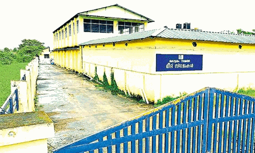 Kodimata Slaughterhouse,