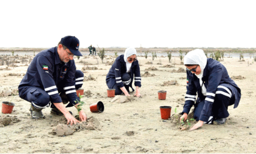 ക​ണ്ട​ൽത്തൈ​ക​ൾ ന​ടു​ന്നു