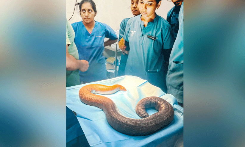 trivandrum zoo trivandrum zoo