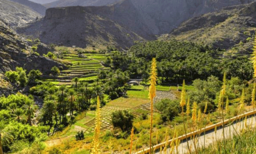 tourism festival tourism festival