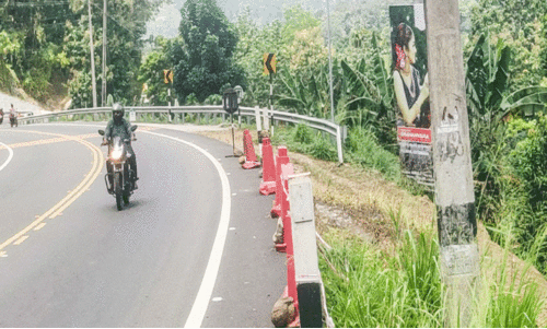 Punalur-Moovatupuzha Road