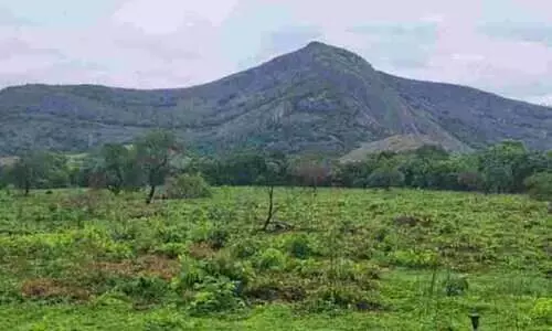 പാലക്കാട് ക്ഷേത്രഭൂമിയിൽ ഉയരുന്നത് 30 കോടിയുടെ ക്രിക്കറ്റ് സ്റ്റേഡിയം; നിർമാണം ജനുവരിയിൽ തുടങ്ങും