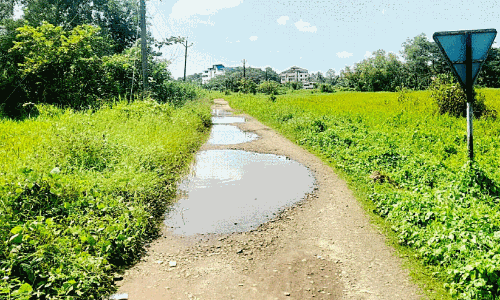 Kodimata-Muppaikad road,