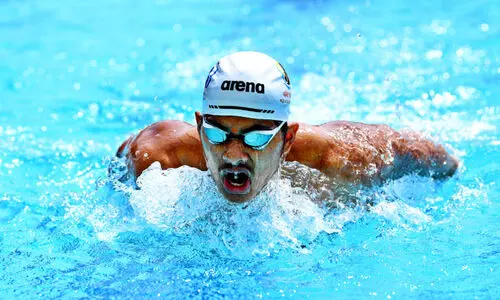 state sports festival