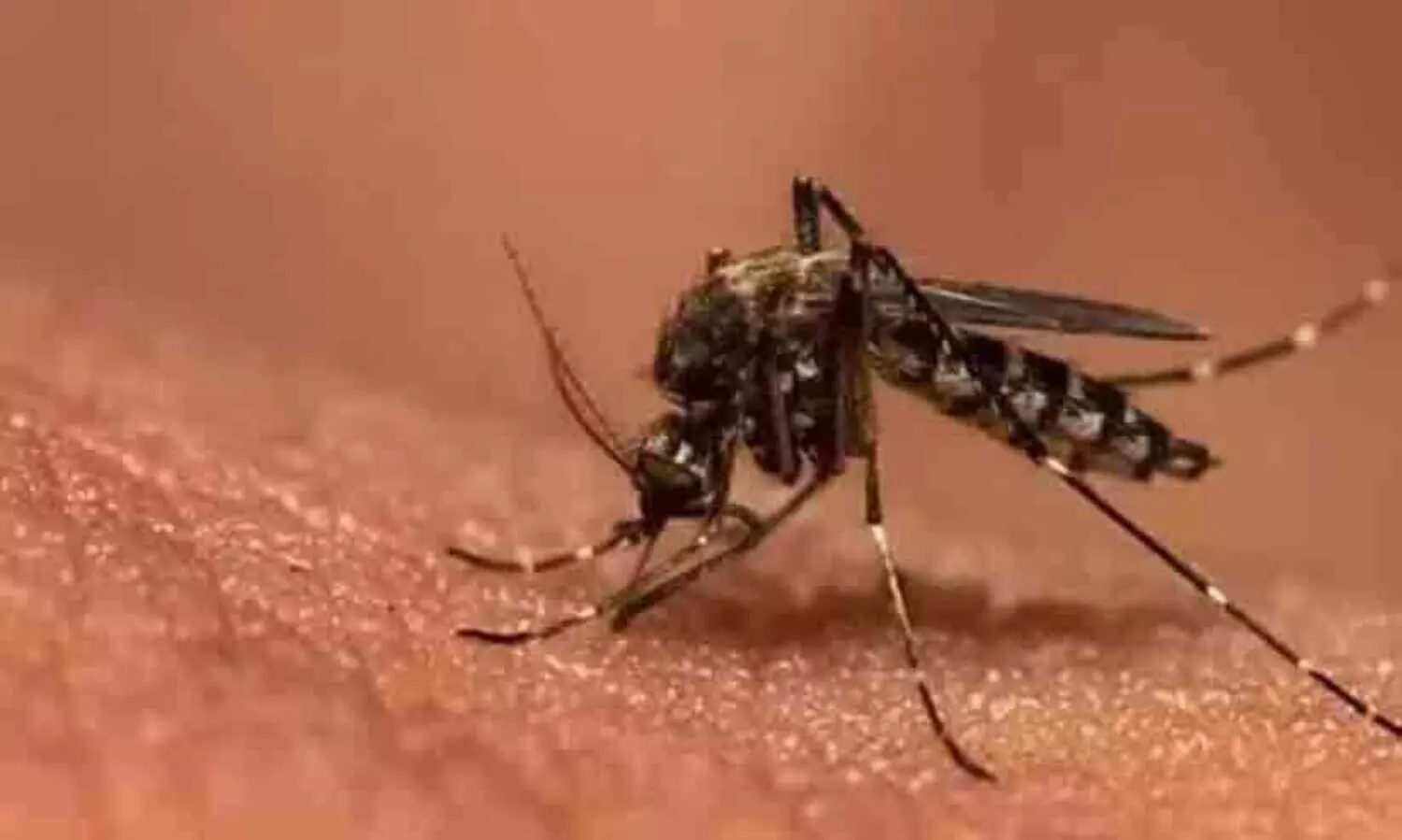 കൂടുതൽ കാർബൺ ഡൈഓക്സൈഡ് പുറന്തള്ളിയാൽ കൊതുകു കടിയും കൂടും; ശരിയോ തെറ്റോ?