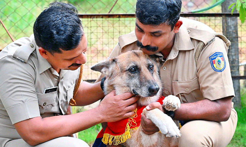 police dog police dog