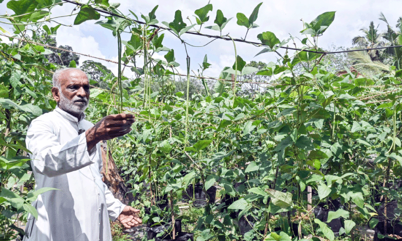 കവീക്കുന്നിന്റെ സ്വന്തം ‘കൃഷിയച്ചൻ’ കവീക്കുന്നിന്റെ സ്വന്തം ‘കൃഷിയച്ചൻ’