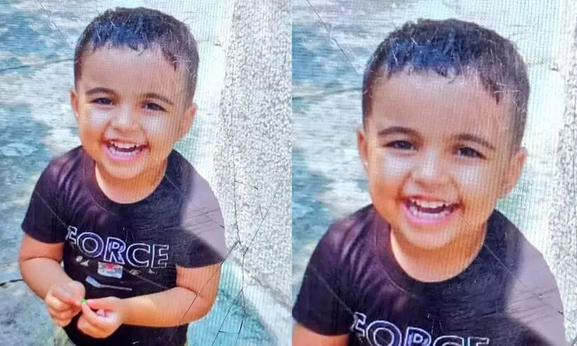 പിതാവിന്റെ അശ്രദ്ധ; കാറിനുള്ളിൽ കുടുങ്ങിയ മൂന്നു വയസുകാരിക്ക് ദാരുണാന്ത്യം പിതാവിന്റെ അശ്രദ്ധ; കാറിനുള്ളിൽ കുടുങ്ങിയ മൂന്നു വയസുകാരിക്ക് ദാരുണാന്ത്യം