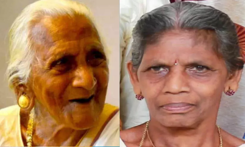 കടന്നൽ കുത്തേറ്റ് 108 കാരിയും മകളും മരിച്ചു